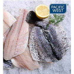 7376 Barramundi Fillets SO